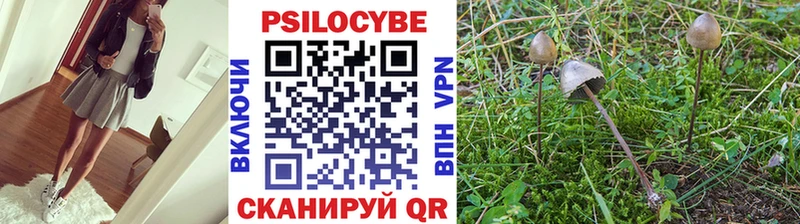 даркнет сайт  Кстово  гидра рабочий сайт  Псилоцибиновые грибы MAGIC MUSHROOMS 
