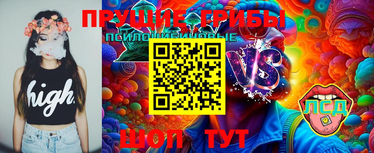 Псилоцибиновые грибы MAGIC MUSHROOMS  Кстово 