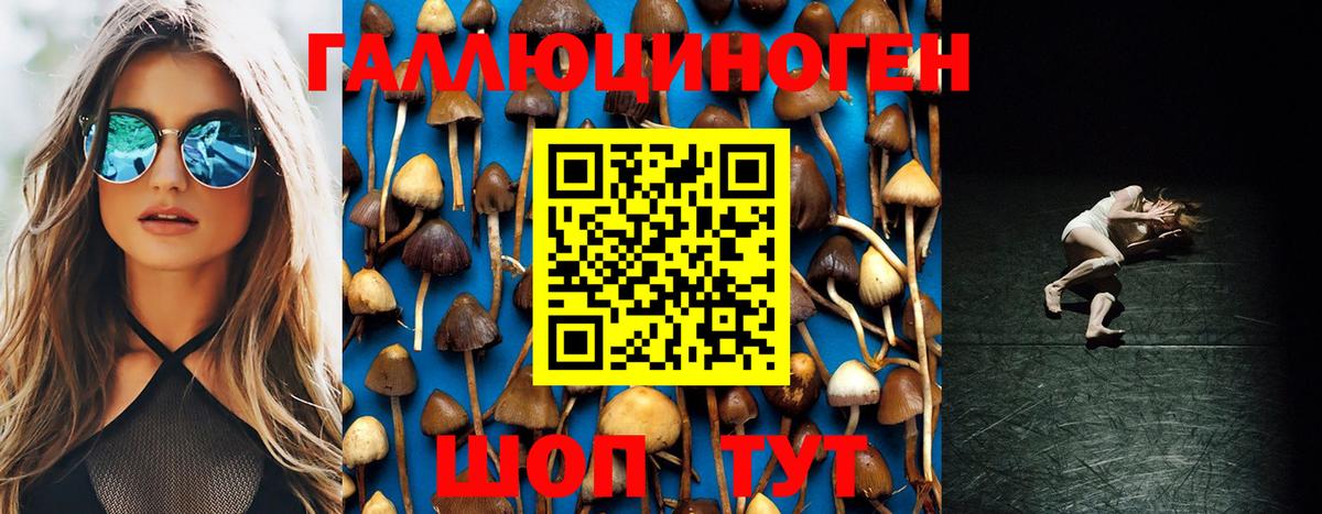 Псилоцибиновые грибы Cubensis Кстово