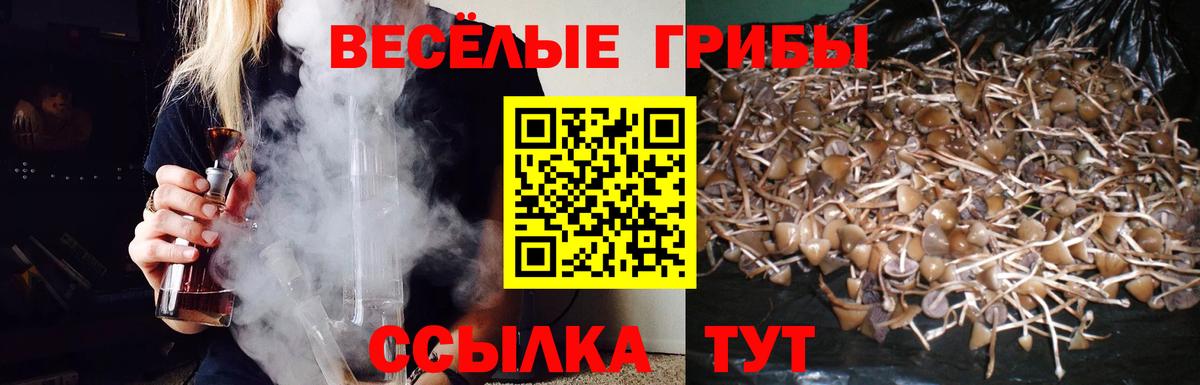 Кстово  Псилоцибиновые грибы Psilocybe  наркошоп  Вход с VPN 
